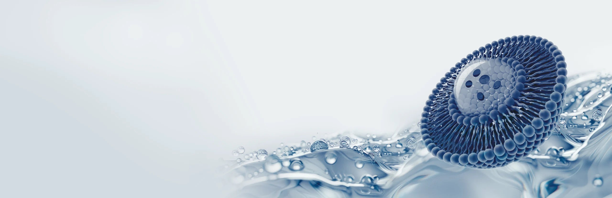 slider image 1621243260e1af0c20-0